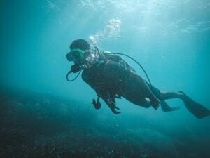 plongée sous-marine